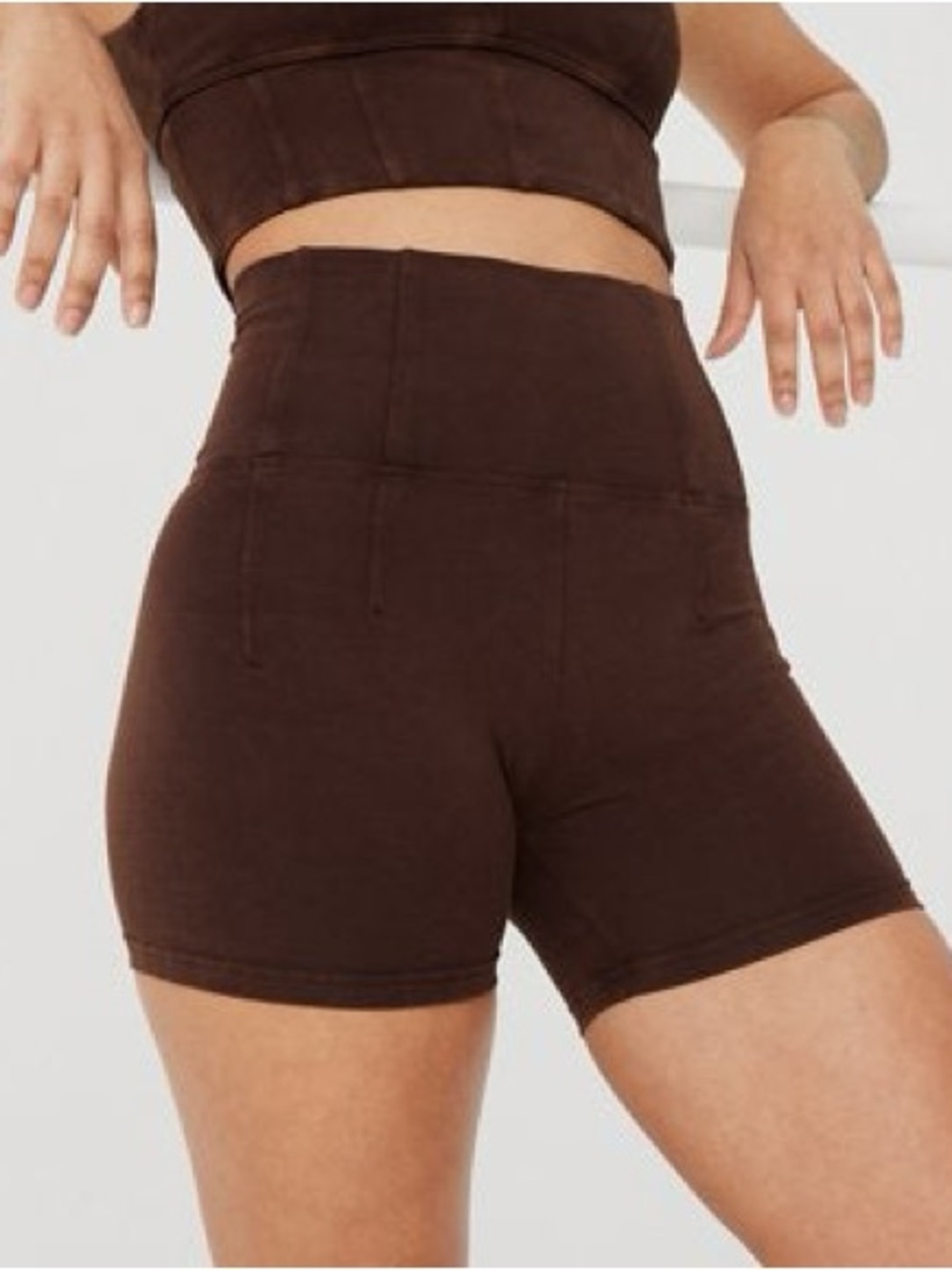 NWT OFFLINE by Aerie Brown Hi-Rise Shortie Shorts M